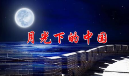 月光下的中国朗诵视频,声颂盛世——月光下中国的朗诵之旅